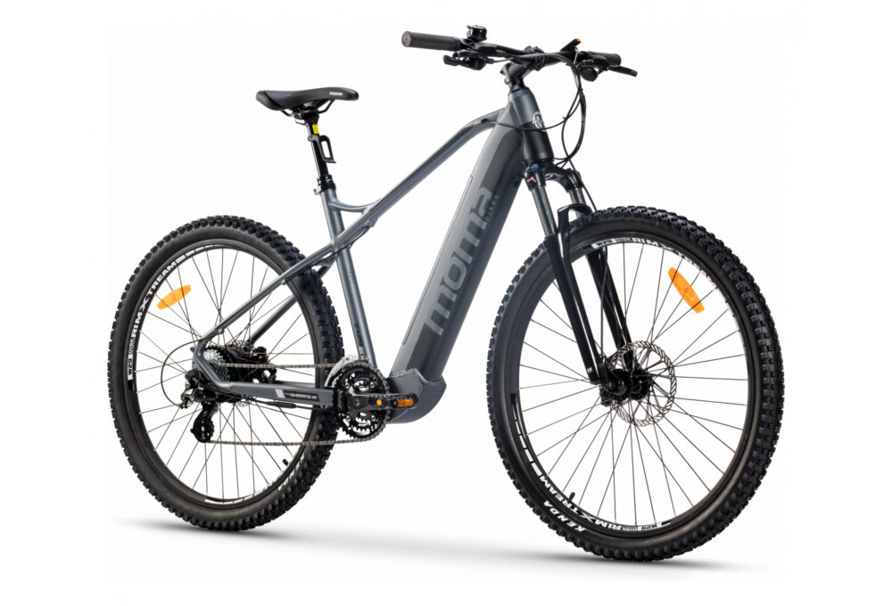 E-MTB 29'' Shimano Altus 8V Gris