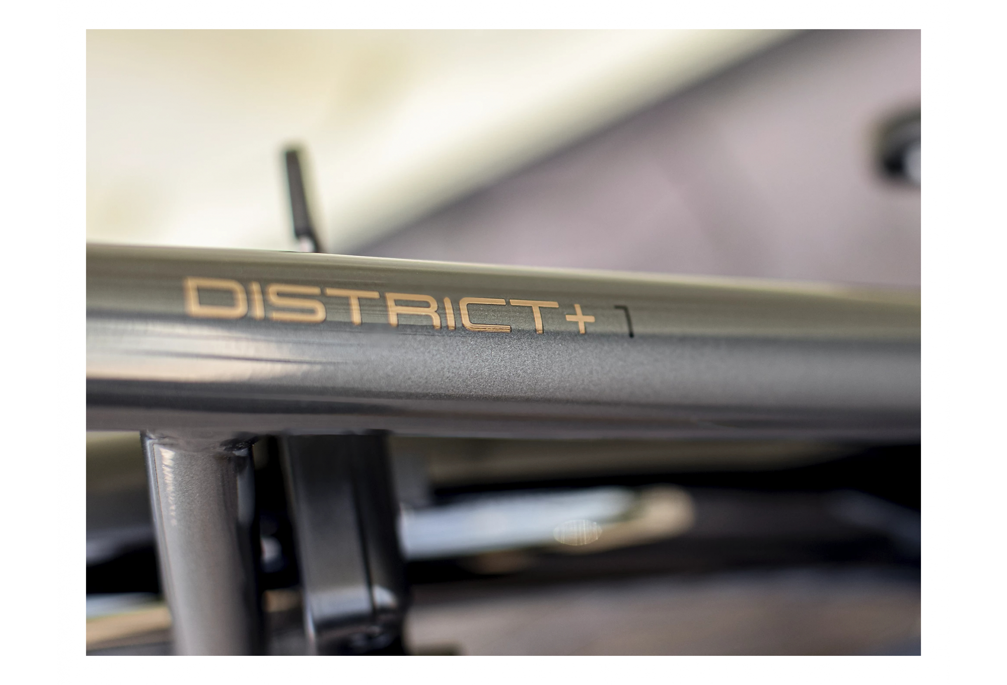 Trek District+ 1 Lowstep Shimano Nexus 7V 300 Gris 2021 – Image 2