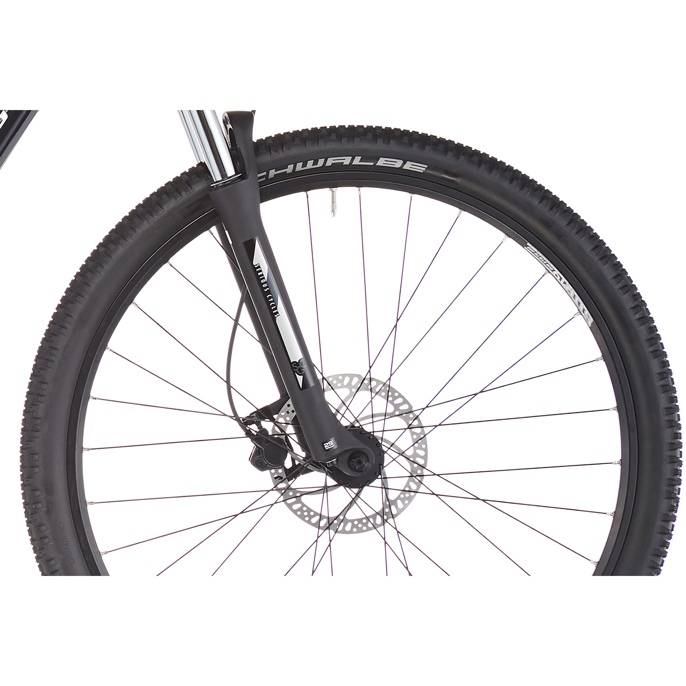 SERIOUS BEAR ROCK 29", ARGENT – Image 4