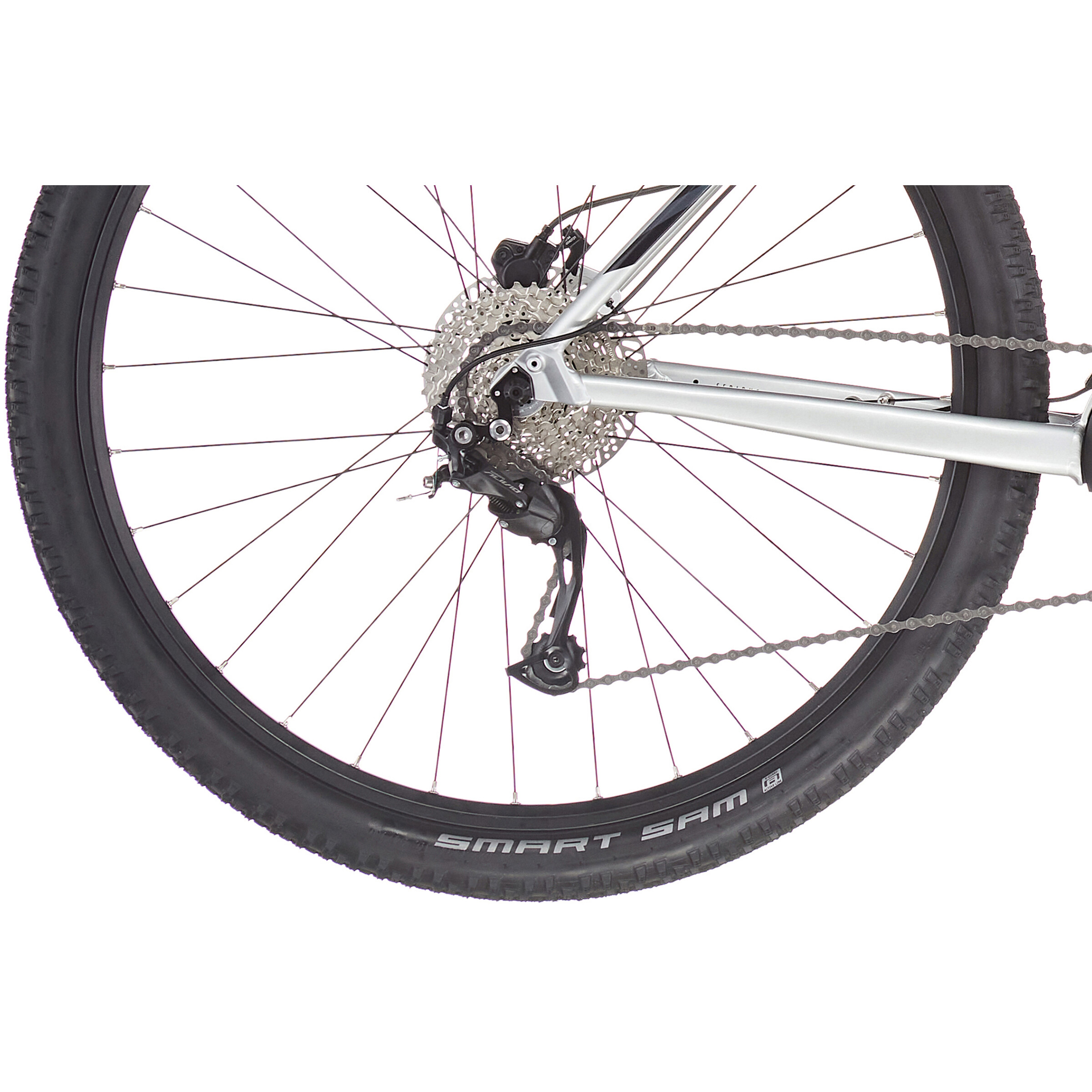 SERIOUS BEAR ROCK 29", ARGENT – Image 6