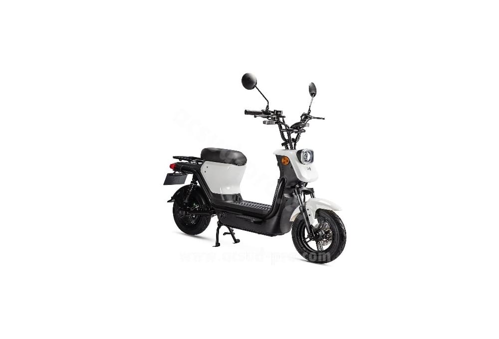 SCOOTER ÉLECTRIQUE LVNENG GENER 48V 23.4AH